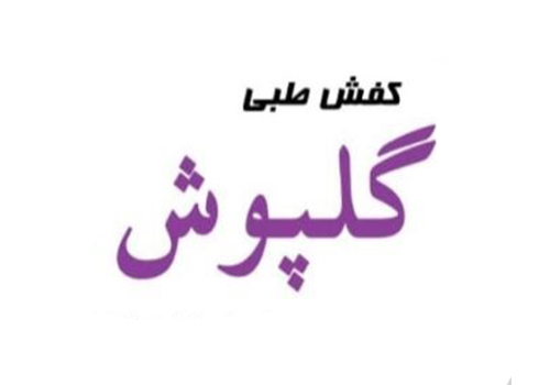 کفش گلپوش